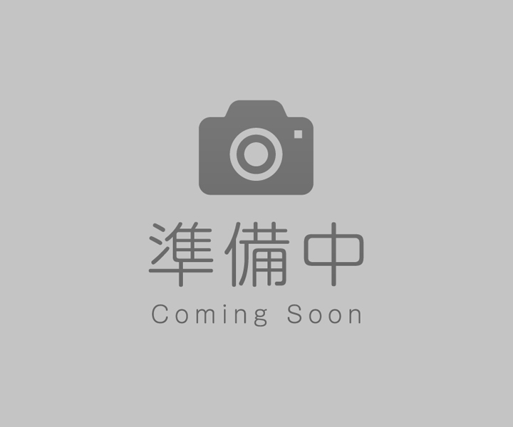 大垣市・垂井町・大垣垂井歯科口腔外科クリニック・3Dシミュレーションソフトによる解析、治療計画